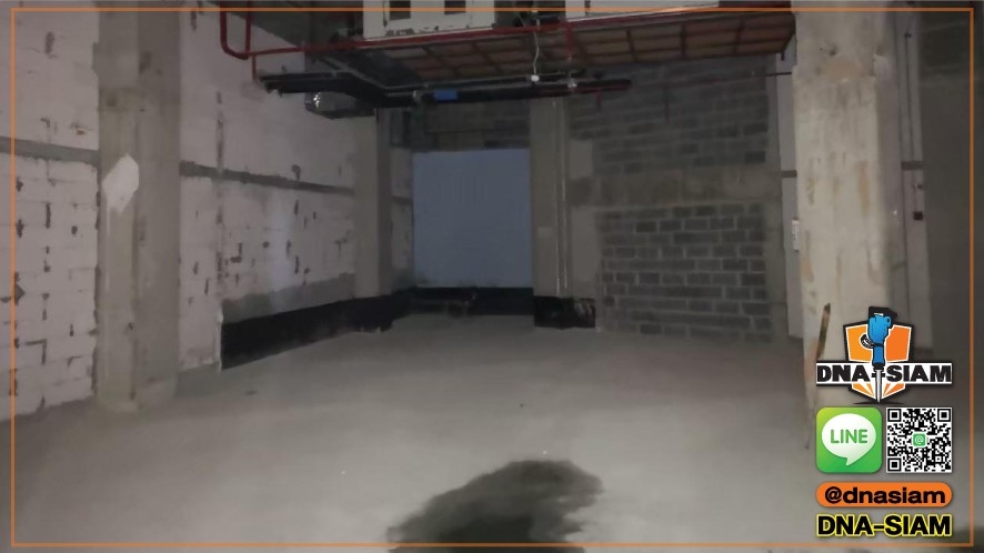 LINE_ALBUM_รื้อถอนภายใน_250214_91